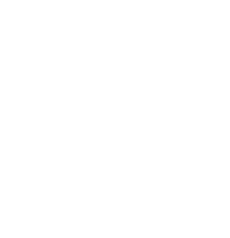 Cavallino logo bianco